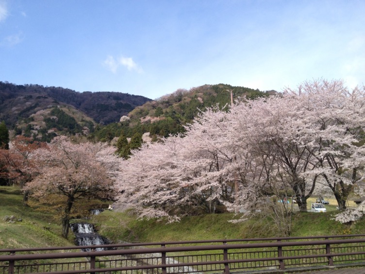 桜満開の霞間ヶ渓から池田山へ